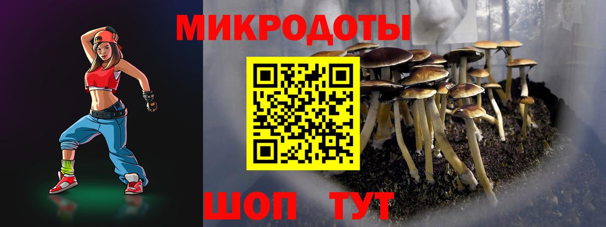 Галлюциногенные грибы прущие грибы  где продают наркотики  Десногорск  Вход с VPN 